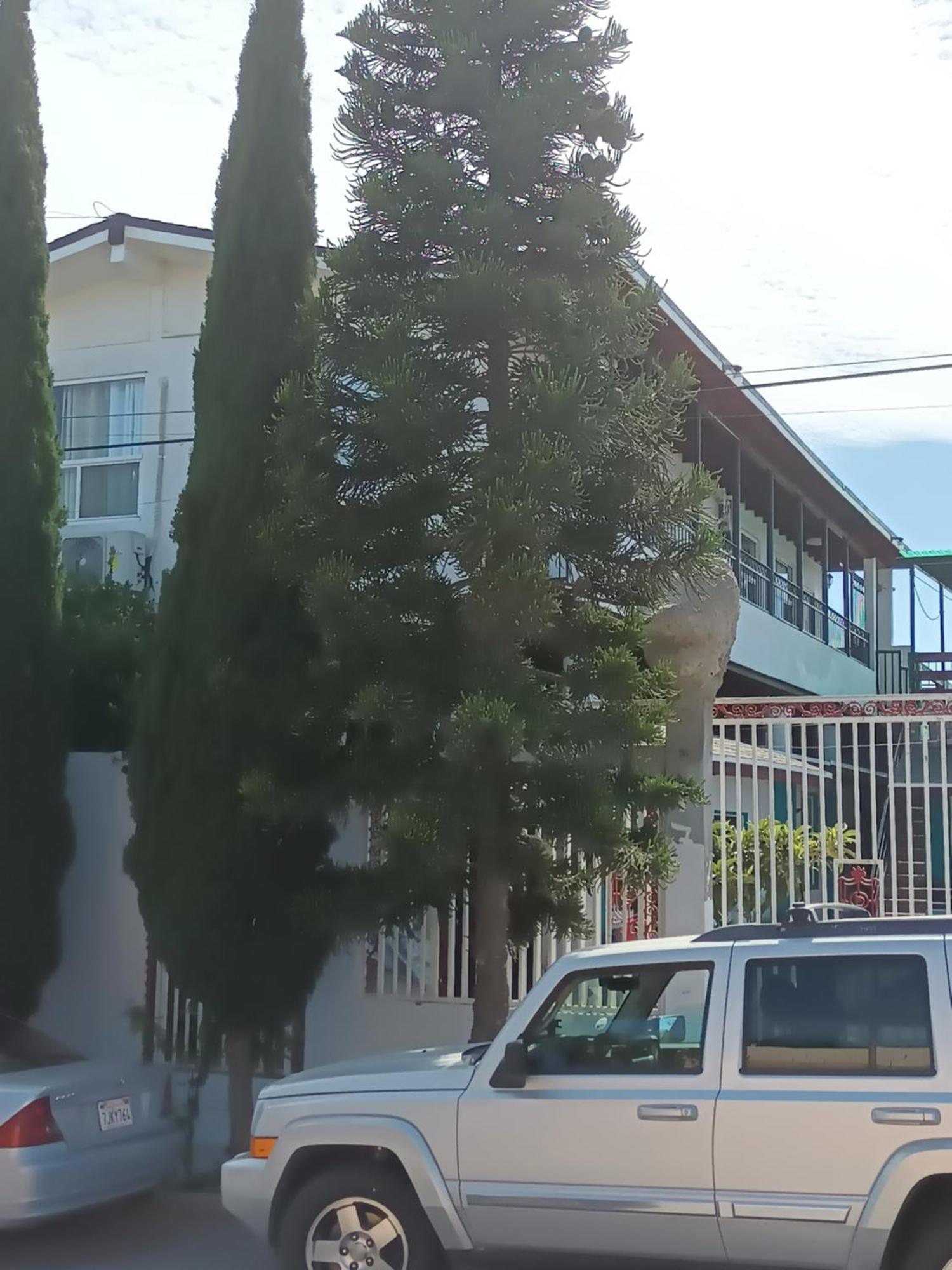 Apartamentos Rosarito.!! Con Vista Al Mar ! Luaran gambar